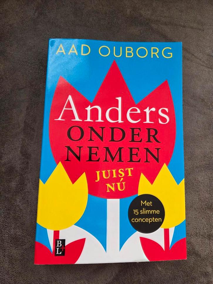 Aad Ouborg - Anders ondernemen, juist nu, Boeken, Wetenschap, Zo goed als nieuw, Sociale wetenschap, Ophalen of Verzenden