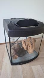 Aquarium 40L met verlichting, Ophalen, Gebruikt, Leeg aquarium