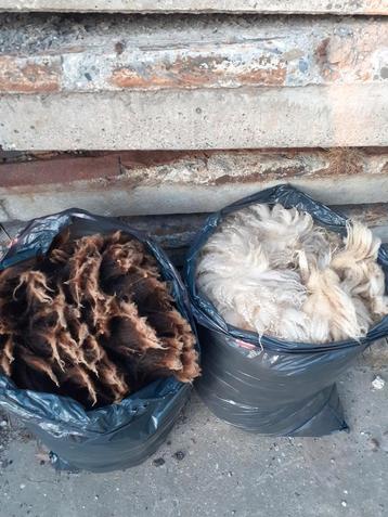 Schapen wol beschikbaar voor biedingen