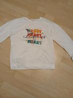 Kerst trui 152, Kinderen en Baby's, Kinderkleding | Maat 152, Jongen of Meisje, Trui of Vest, Ophalen of Verzenden, Zo goed als nieuw