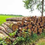 Vrachten berken stamhout | nu leverbaar, Tuin en Terras, Haardhout, 6 m³ of meer, Verzenden, Berkenhout, Stammen