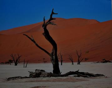 Foto beschikbaar voor biedingen