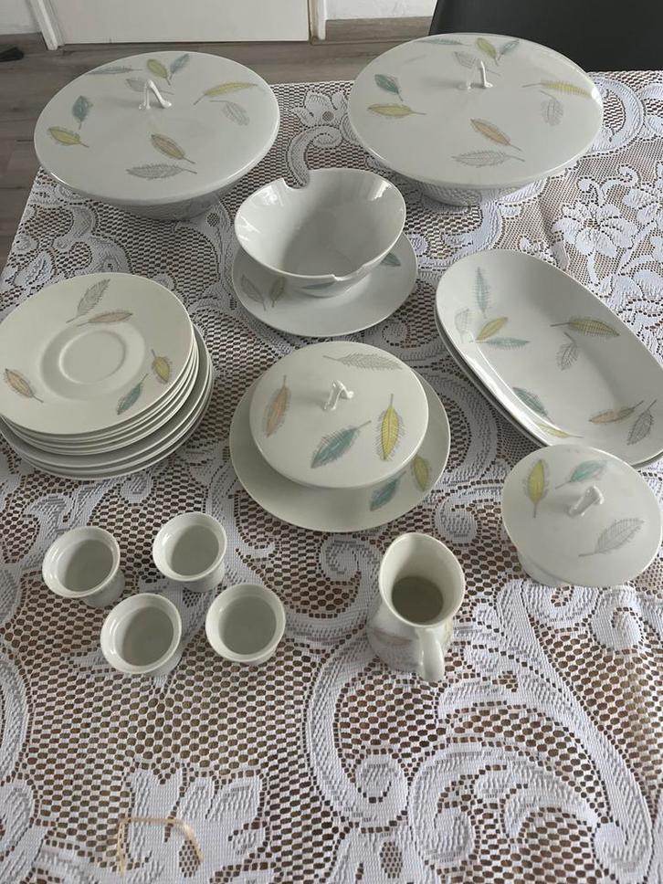 Vintage Servies met Bladmotief, Huis en Inrichting, Keuken | Servies, Gebruikt, Compleet servies, Overige stijlen, Aardewerk, Ophalen