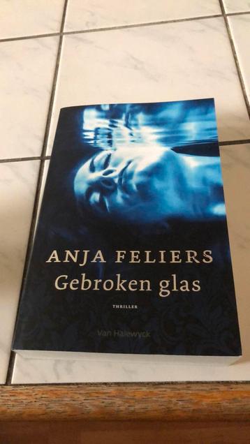 Anja Feliers - Gebroken glas