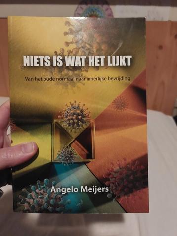 Angelo Meijers - Niets is wat het lijkt beschikbaar voor biedingen