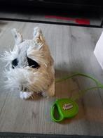 Hondje waar mee je kunt wandelen, Kinderen en Baby's, Ophalen