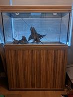 Aqualantis Aquarium, Vis