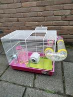 Hamsterkooi, Dieren en Toebehoren, Ophalen of Verzenden, Minder dan 75 cm, Kooi, Minder dan 60 cm