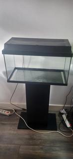 Juwel 60 liter met onderpoot, Ophalen, Leeg aquarium