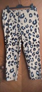 Fabienne Chapot maat 36, Beige, Ophalen of Verzenden, Zo goed als nieuw, Fabienne Chapot