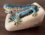 Gaudi Salamander Beeld - Parc Güell, Ophalen of Verzenden, Zo goed als nieuw, Overige materialen, Dierenbeeld