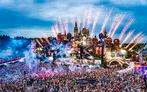 GEZOCHT: dagtickets Tomorrowland W2 (alle dagen), Tickets en Kaartjes, Evenementen en Festivals, Eén persoon