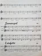 Play Time Fluit + CD - Vincent Oostenbrink, Gebruikt, Les of Cursus, Dwarsfluit of Piccolo, Ophalen of Verzenden