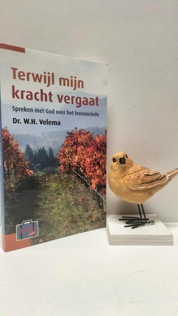 Velema, Dr. W.H.; Terwijl mijn kracht vergaat beschikbaar voor biedingen