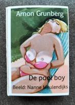 Arnon Grunberg - De poolboy (harmonica boekje luciferdoosje), Boeken, Ophalen of Verzenden, Zo goed als nieuw, Nederland, Arnon Grunberg