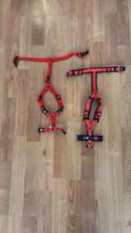 Honden tuigje rood anny xs, Ophalen, Nieuw