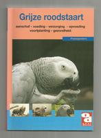 Grijze Roodstaartpapegaai - Natascha Snelder-Bouman, Ophalen of Verzenden, Nieuw, Vogels