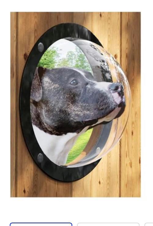 Nieuwe patrijs kijk koepel hond kinderhuis of snoeptafel, Tuin en Terras, Tuinwanddecoratie, Nieuw, Ophalen of Verzenden