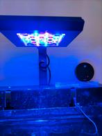 Reef flare pro s 80watt zeeaquarium verlichting, Dieren en Toebehoren, Vissen | Aquaria en Toebehoren, Ophalen of Verzenden, Zo goed als nieuw
