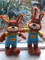 Koos Konijn Mascotte van De Roompot merk Kids Marketeers, Ophalen of Verzenden, Zo goed als nieuw, Konijn