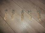 Potlood oorbellen, Ophalen, Overige materialen, Hangers, Overige kleuren