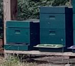 Carnica bijenvolken te koop, Dieren en Toebehoren, Bijen