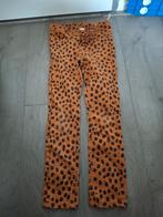 Broek maat 122, Ophalen of Verzenden, Zo goed als nieuw, Meisje, Broek