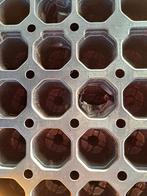 Professionele 104-gaats Stek- & Zaaitrays  Extra Voordelig, De Triemen 5A 9296 MB de Triemen, Kunststof, Rond, Ophalen of Verzenden