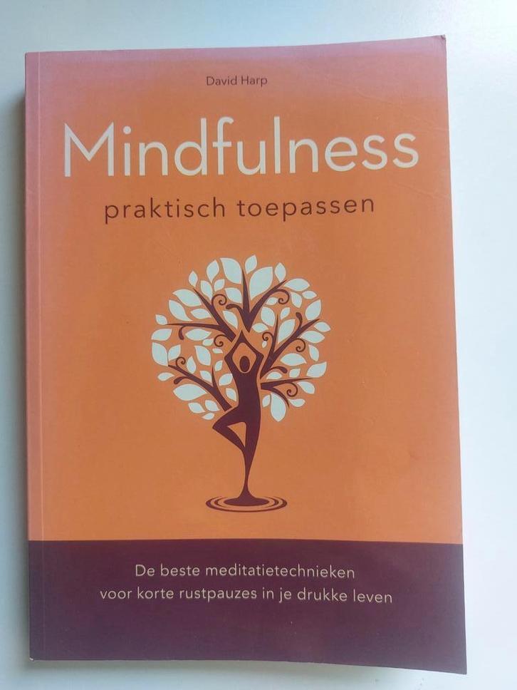 Mindfulness praktisch toepassen, Boeken, Esoterie en Spiritualiteit, Zo goed als nieuw, Instructieboek, Overige onderwerpen, Ophalen of Verzenden