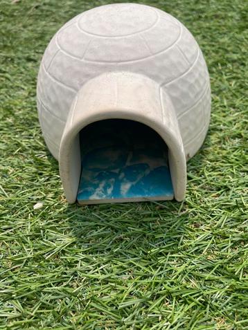 Koelte iglo voor Hamsters of kleine knaagdieren beschikbaar voor biedingen