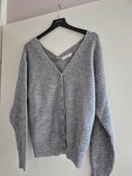 Dames vest, Kleding | Dames, Truien en Vesten, Ophalen of Verzenden, Nieuw, Grijs
