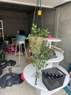 Kunstplant in hangmand - Set van 8, Ophalen of Verzenden, Zo goed als nieuw, Binnen
