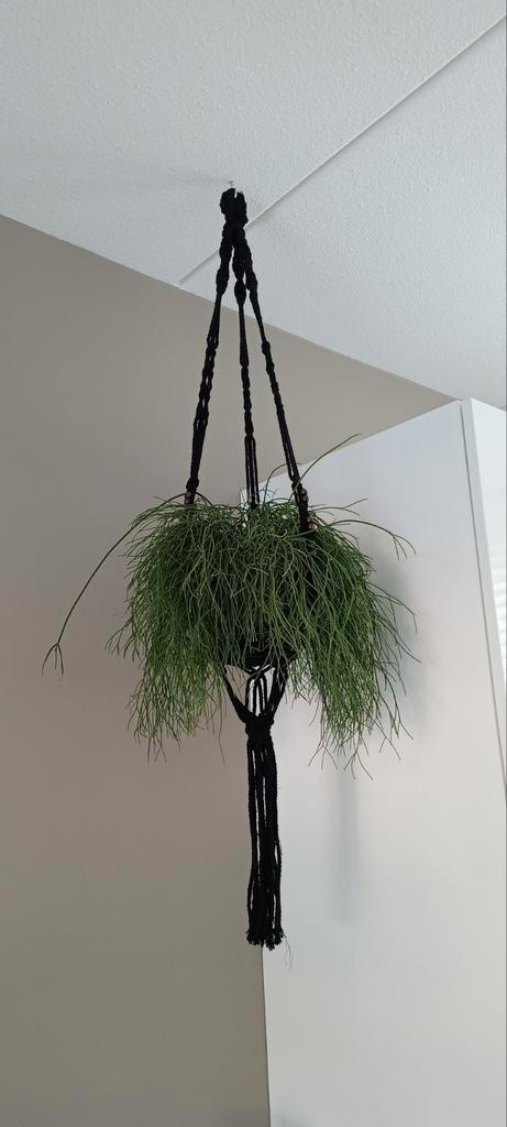 😍 Mooie grote macrame plantenhanger inclusief bloempot 😍, Tuin en Terras, Bloembakken en Plantenbakken, Zo goed als nieuw, Binnen