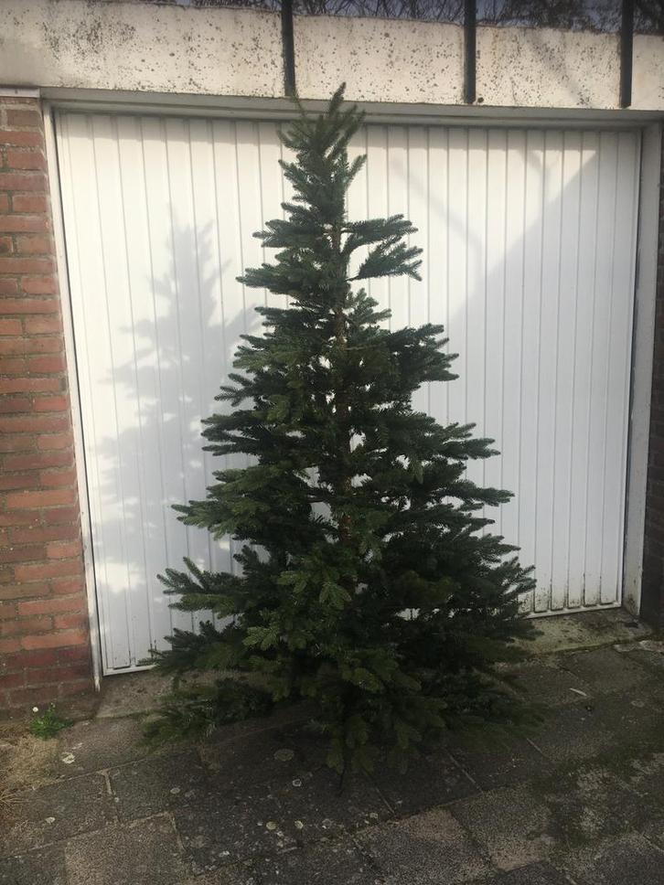 Black Box kunst kerstboom 2,15m, Diversen, Kerst, Gebruikt, Ophalen