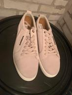 Superdry lilac low sneakers, Kleding | Heren, Schoenen, Nieuw, Overige typen, Ophalen of Verzenden, Superdry