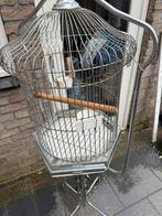 Vogelkooi, Dieren en Toebehoren, Vogels | Hokken en Kooien, Ophalen, Gebruikt, Metaal, Vogelkooi
