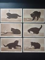 Poes en kuiken 1943 serie van 6, Ophalen of Verzenden, 1940 tot 1960, Overige thema's