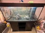 Juwel rio 350 aquarium met kast compleet, Ophalen, Zo goed als nieuw, Leeg aquarium