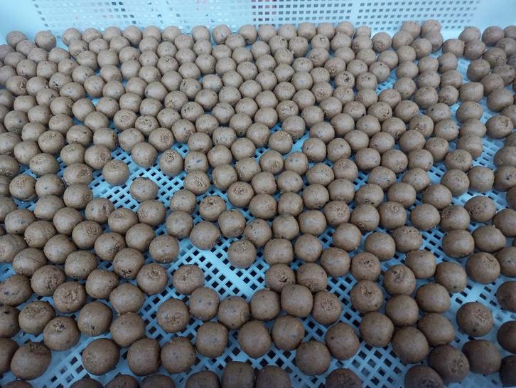 strawberry fish premium boilies, Watersport en Boten, Hengelsport | Karpervissen, Nieuw, Overige typen, Ophalen of Verzenden