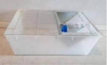 Laatste T4 labbakken NIEUW afgeprijst bij csreptiles  beschikbaar voor biedingen