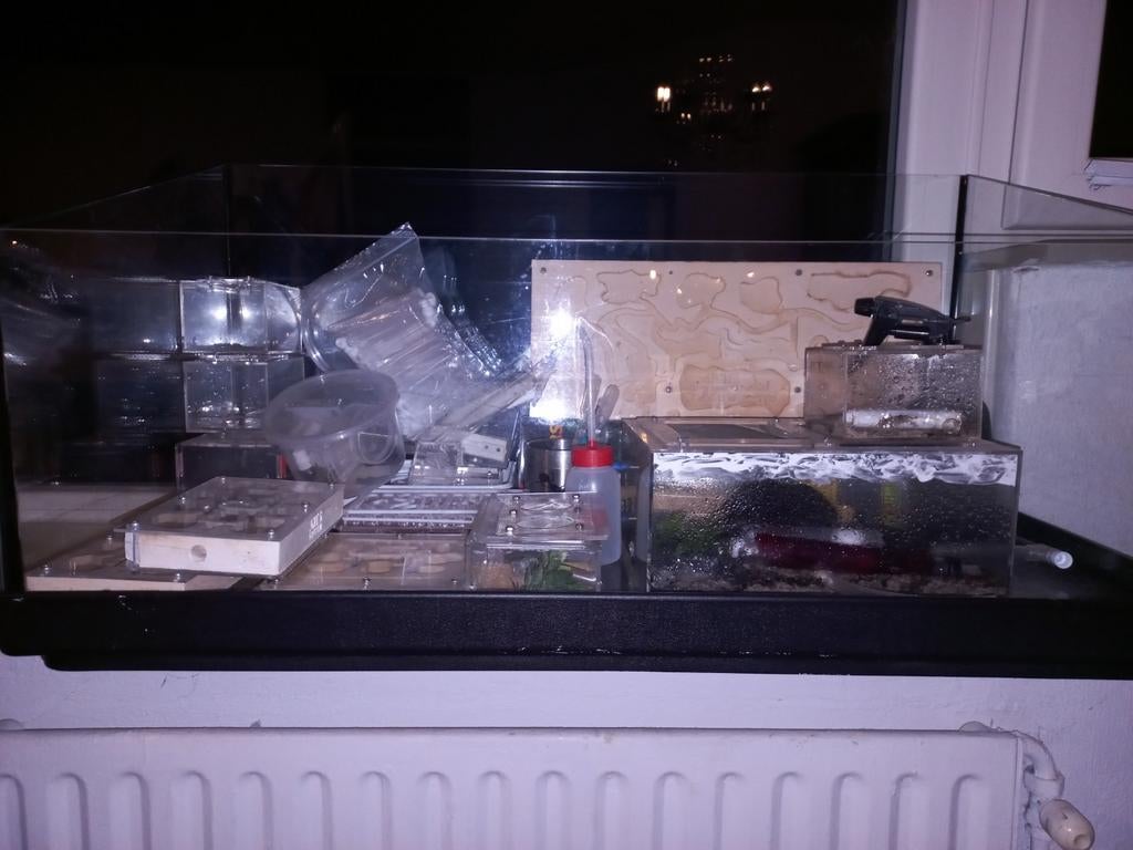 Mieren toebehoren, Dieren en Toebehoren, Insecten en Spinnen, Mieren