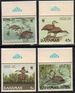 C352 Bahamas 672/73 postfris Vogels, Ophalen of Verzenden, Postfris, Dier of Natuur