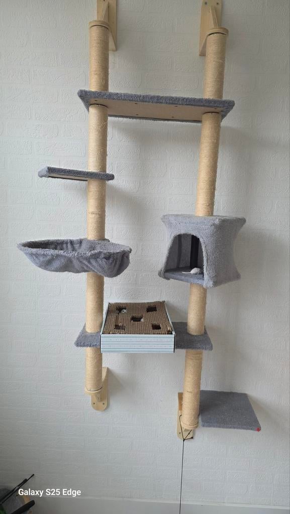 Kitten krabpaal muurbevestiging,, Dieren en Toebehoren, Ophalen