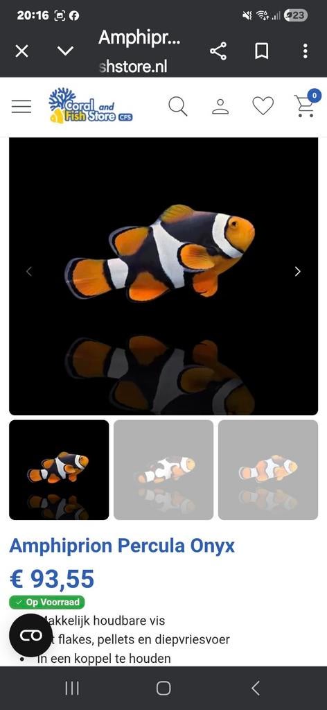 Mutatie clownvis , anemoonvis , nemo , zeewater vis, Vis, Zoutwatervis