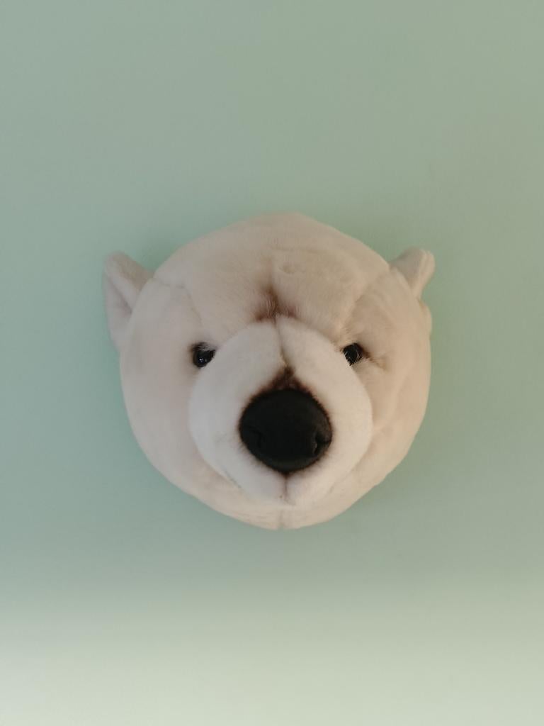 Ijsberen kop, Ophalen of Verzenden, Zo goed als nieuw, Wanddecoratie