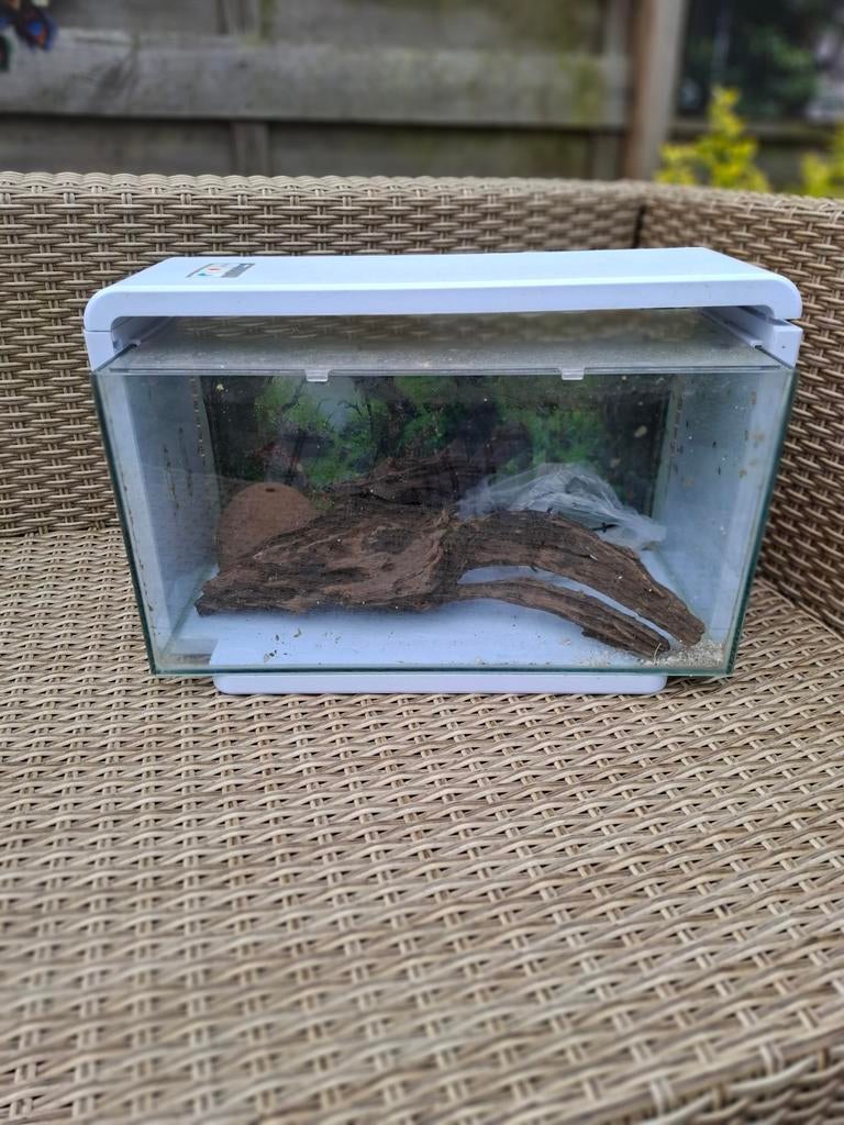 Aquarium, Dieren en Toebehoren, Ophalen, Leeg aquarium