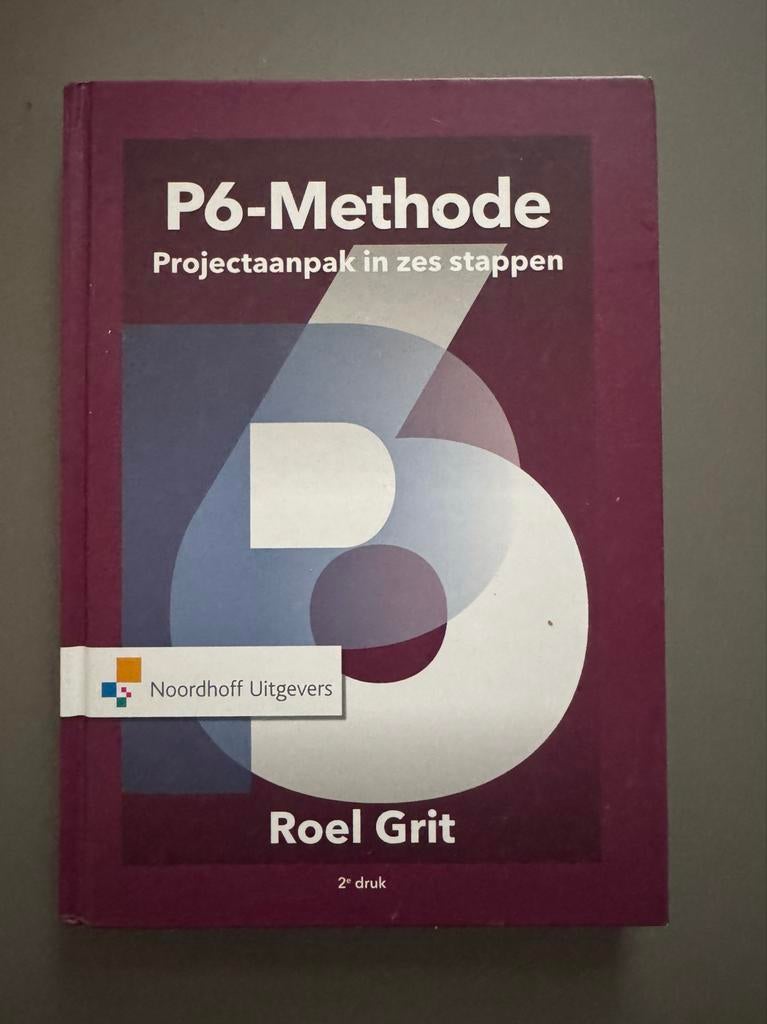 P6-Methode: Projectaanpak in zes stappen - Roel Grit, Boeken, Ophalen of Verzenden, Gamma, Zo goed als nieuw, HBO