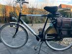 Cortina Herenfiets - 7 Versnellingen, Gebruikt, Versnellingen, 57 tot 61 cm, Ophalen
