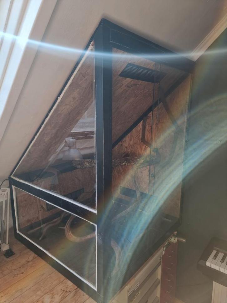 Terrarium, Dieren en Toebehoren, Reptielen en Amfibieën | Toebehoren, Ophalen