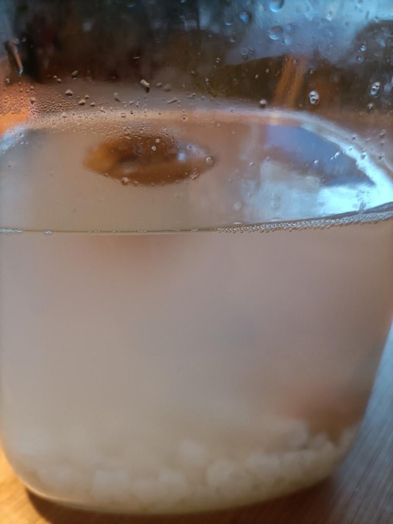 Waterkefir, Diversen, Ophalen